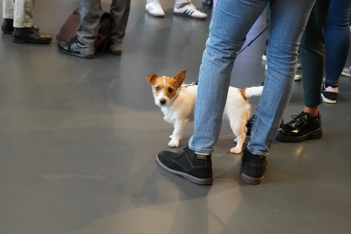 An der Messe in der Hall treffen Schulen und Lehrpersonal aufeinander.